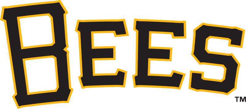 Salt Lake Bees 2006-pres wordmark logo iron on transfers for T-shirts